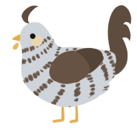 A mist and bark chicken with a bar pattern