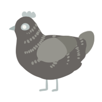 A grey and ash chicken with a half-bar pattern