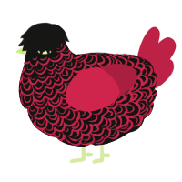 Edgelord, a black and crimson chicken with a double-lace pattern