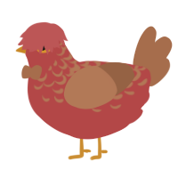 double jeopardy, a red and brown chicken with a half-lace pattern