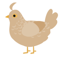 (unnamed), a beige chicken with a half-lace pattern