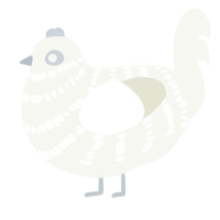 A white chicken with a bar pattern
