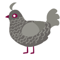 Pigeon4, a grey and ash chicken with a lace pattern