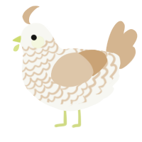 Melon Milk, a white and beige chicken with a lace pattern