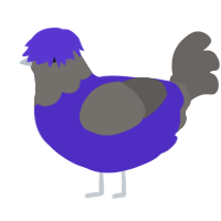 A indigo and grey chicken with a head pattern
