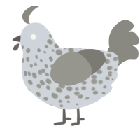 grey hound, a mist and ash chicken with a speckle pattern
