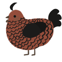 A russet and sable chicken with a lace pattern