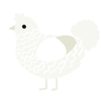 Nieve, a white chicken with a lace pattern
