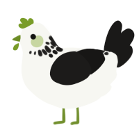 (unnamed), a white and sable chicken with a neck-speckle pattern