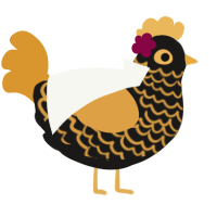 The Empress, a sable and orange chicken with a lace pattern