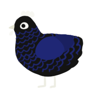 A black and navy chicken with a lace pattern