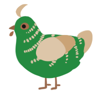 Veggies and Hummus, a viridian and beige chicken with a half-bar pattern