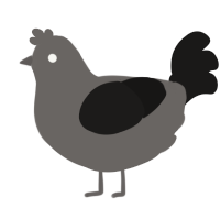 A grey and sable chicken