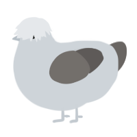 the fog-, a mist and grey chicken