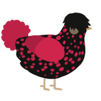 Walter, a black and crimson chicken with a speckle pattern