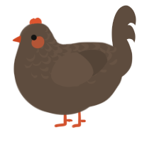 Day after hot wings, a bark chicken with a half-lace pattern