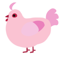 Berry Pink, a rose and pink chicken