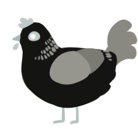 noir, a black and ash chicken with a neck-band pattern