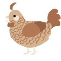 A beige and brown chicken with a lace pattern