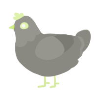 (unnamed), a ash chicken with a head pattern