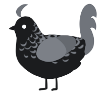 A sable and grey chicken with a half-lace pattern