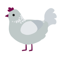 Dione, a silver and mist chicken with a neck-speckle pattern