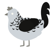 Cobblestone, a mist and black chicken with a half-lace pattern