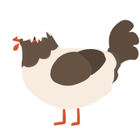 A cream and bark chicken with a head pattern