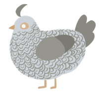 (unnamed), a mist and ash chicken with a double-lace pattern