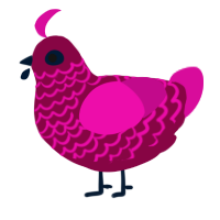 A maroon and fuchsia chicken with a lace pattern