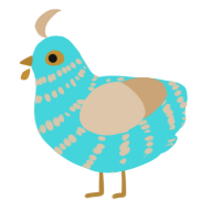 A aqua and beige chicken with a bar pattern