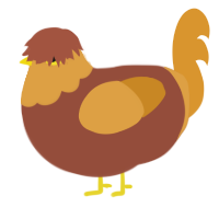 Flan, a russet and orange chicken with a head pattern