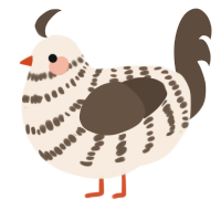 Saturn, a cream and bark chicken with a bar pattern