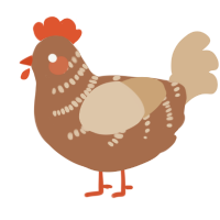 Kipje, a brown and beige chicken with a half-bar pattern
