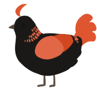 spot, a sable and vermilion chicken with a neck-band pattern