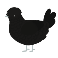 (unnamed), a sable and black chicken with a lace pattern