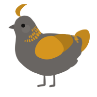 A grey and ochre chicken with a neck-band pattern