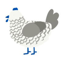 Vision, a white and ash chicken with a lace pattern