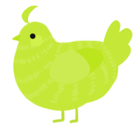 A lime chicken with a bar pattern