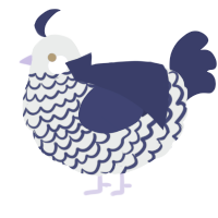 King Quasi, a silver and navy chicken with a lace pattern