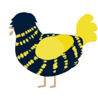 Banjo, a tumblr and yellow chicken with a bar pattern