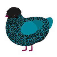 A sable and sea chicken with a double-lace pattern