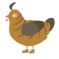 Roadrunner, a orange and grey chicken with a half-bar pattern