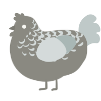 A ash and silver chicken with a half-lace pattern