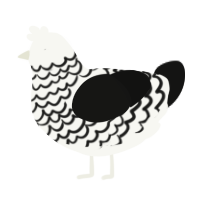 Guess, a white and black chicken with a lace pattern