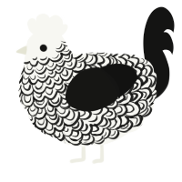 Polaris, a white and black chicken with a double-lace pattern