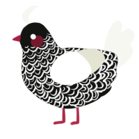 Pride and Prejudice, a black and white chicken with a double-lace pattern