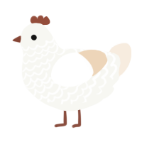 Pearl White Leghorn, a white and cream chicken with a lace pattern
