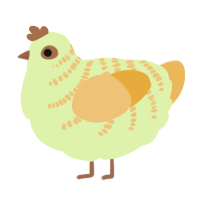 Lime Sherbert, a apple and honey chicken with a half-bar pattern