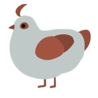 A silver and russet chicken